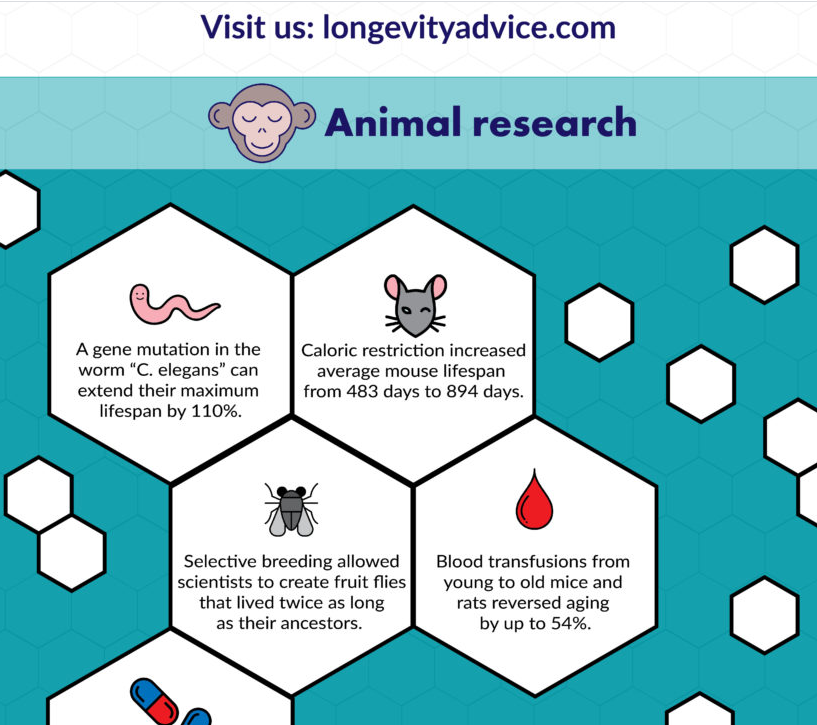 Longevity Advice tweet media