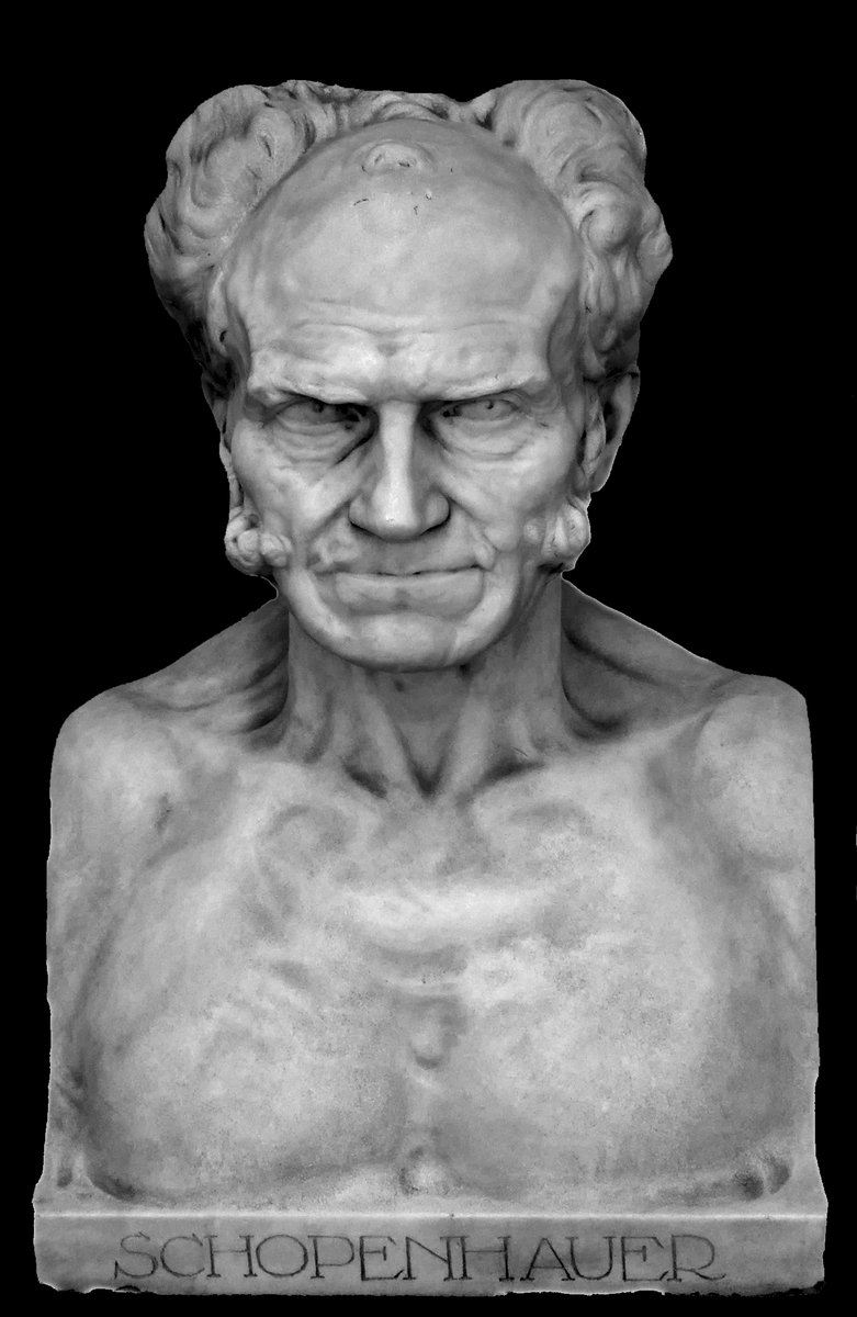 Aspirar_al_uno's tweet photo. Por más filosofía en las aulas. Por más humanidades. 

"El mundo, el mundo, ¡estúpidos! Ese es el problema de la filosofía, el mundo y nada más" (Schopenhauer). https://t.co/aeoA7J6QCZ