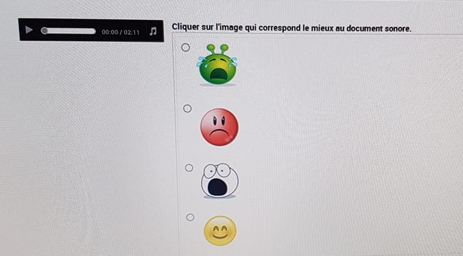 SuisEnRetard's tweet photo. Pour ceux qui se demandent pourquoi les enseignants ne sont pas à fond sur les évaluations nationales, on signale que cette année encore, on demande en seconde de cocher un smiley après avoir écouté un extrait de Maupassant. 😭🤬😱😊 https://t.co/hAGwNMdpAg