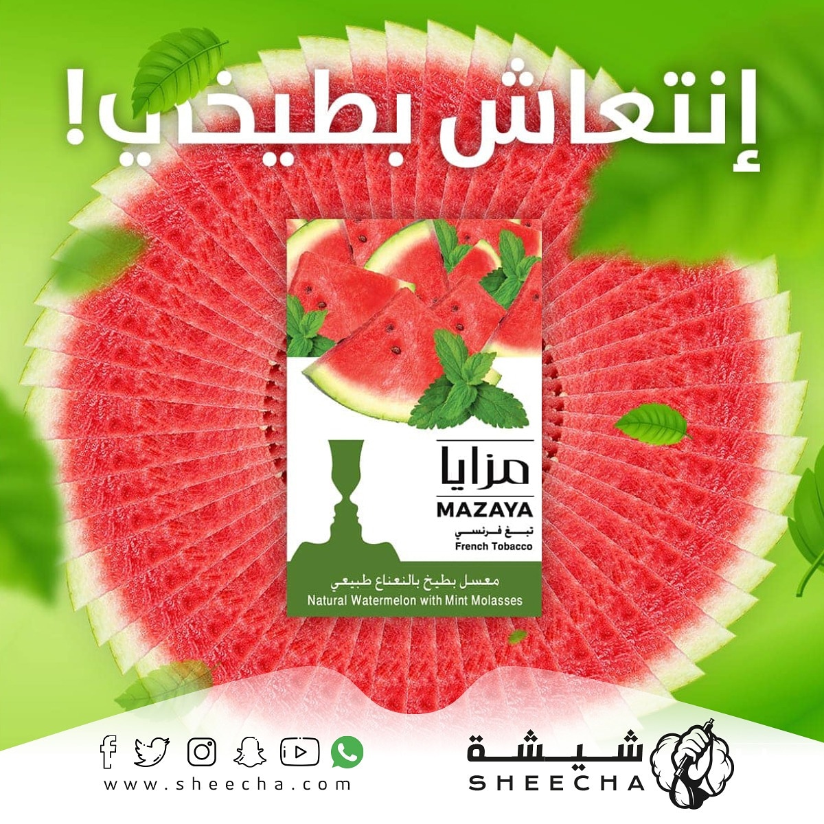 SheechaStore's tweet photo. انتعاش "بطيخي" صيفي 🍉🍉😎🤠🌻

اطلبه الحين من متجر شيشة👇
https://t.co/zT2Xj5KhS4 

#متجر_شيشة #شيشه #السعودية  #معسل #معسلات #استراحة #جلسات #الرياض_اليوم #الرياض #جدة #الدمام #الخبر #سحبات #نكهات #عيال #اكسبلور #مزايا #معسل #اليوم_الوطني٩٠ https://t.co/rc6qCkGihe