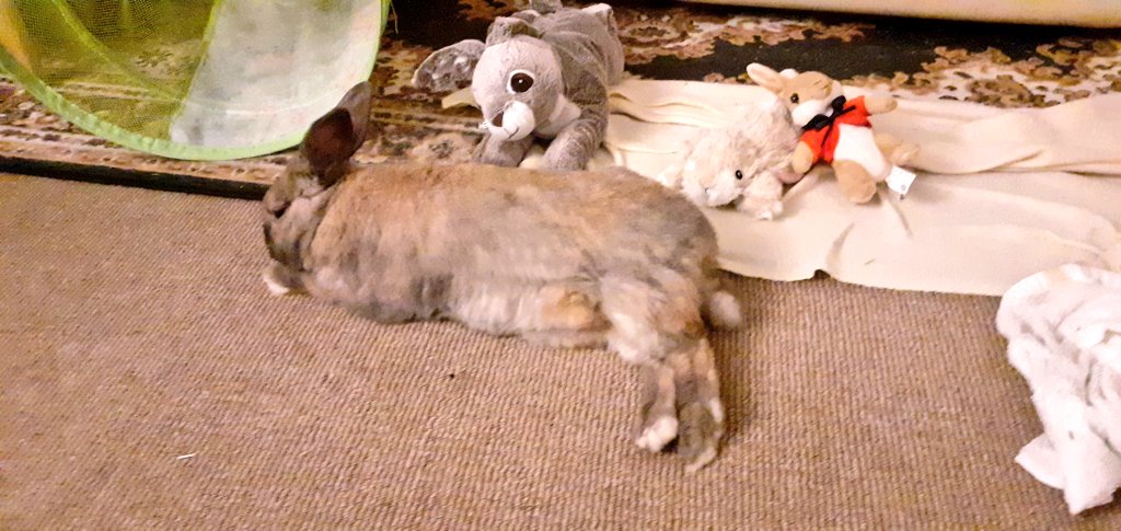 Sammyjwilliams3's tweet photo. Just chilling out https://t.co/1uXDT5tdtr