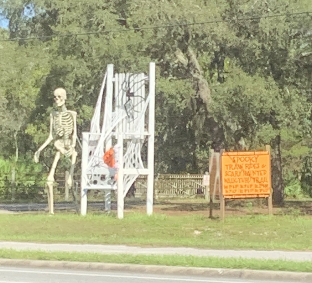 GinAndSomething's tweet photo. Spotted on the way to the doctor today...
A spooky trail out this far in the FL backwoods is the last trail you will trail.
#GinAnd #StandardFlorida https://t.co/L7XmxusesT