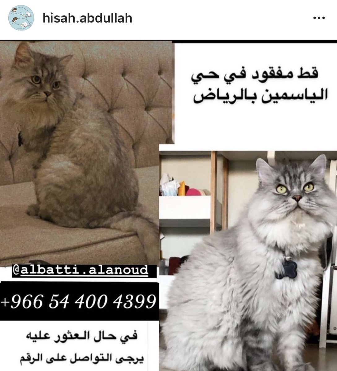 <a href="/CatCat_120/">عاجل انقاذ قطط</a>