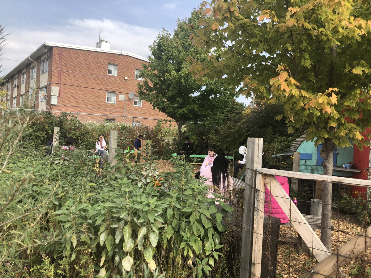 JPCIScience's tweet photo. Enjoying the outdoor classroom with my Grade 9 class! @PACTProgram @JohnPolanyiCI @tdsb @EcoSchoolsTDSB @LC1_TDSB #getoutside #ecology https://t.co/ycGhWDteDd