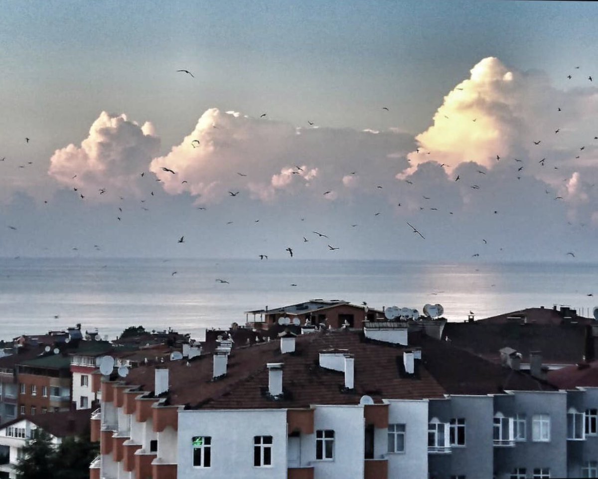 UcuncuyeniUcar's tweet photo. Sana sözlenmiş bütün akşamlar
Var git anılardan, var git bu akşam..
#ünye #benimevim #benimmanzaram https://t.co/kko22Ywbk9