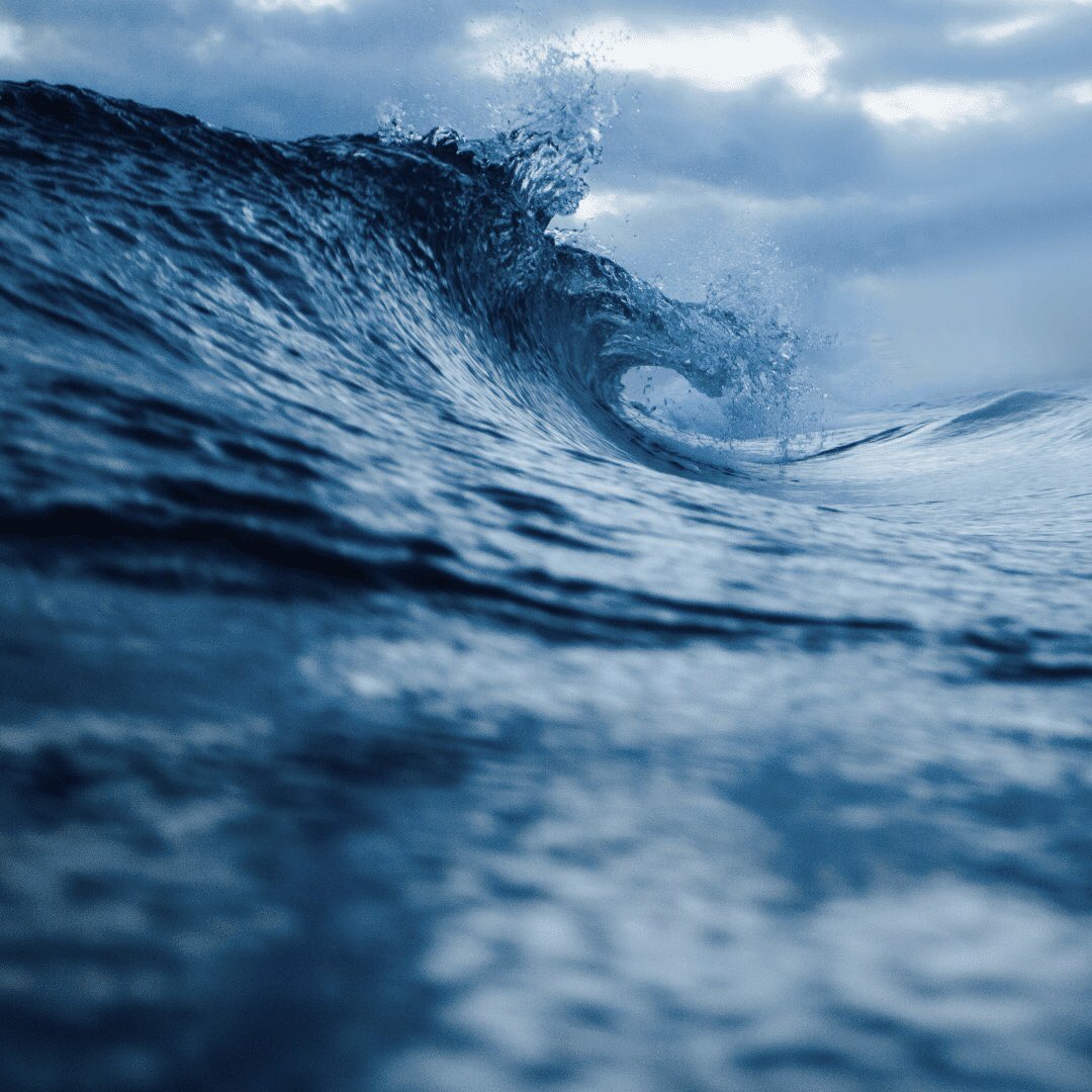 CRÉÉ GRÂCE À LA MER

Un run sur la place, des déchets éparpillés, une prise de conscience : la création du projet.
Chez Circle, chaque découverte mène à l’action.

#ProtectOurPlayground