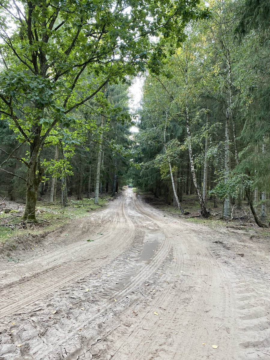 IsabellaBergh1's tweet photo. Arbetet i vår nya backe har påbörjats! Jäklar va jag längtar till att sitta och köra häst här 😍🙌🏻✨👌🏻💪🏻🌲 #stallCE https://t.co/o8bmo9rcaS