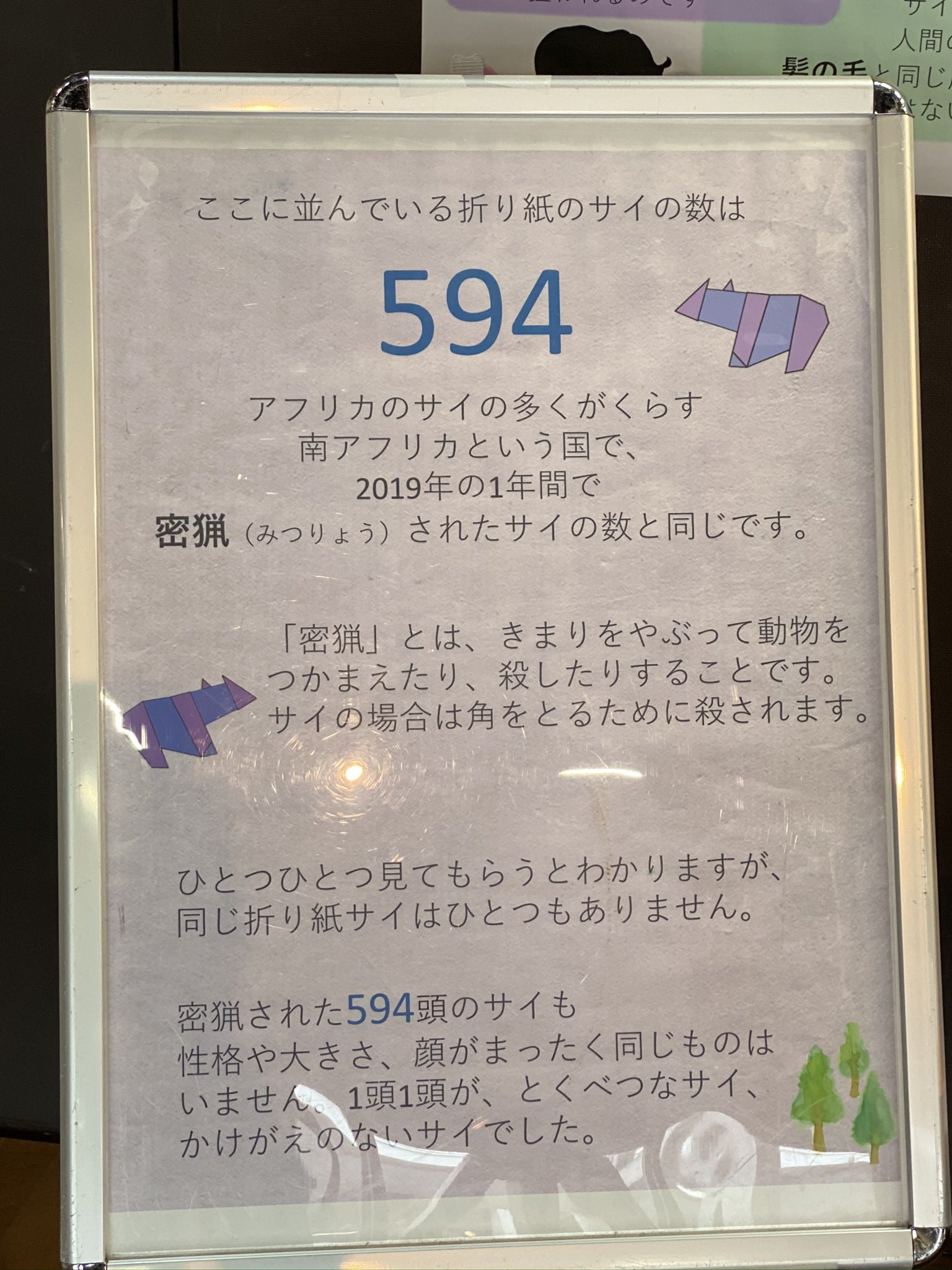 まみい 南アフリカで19年に密猟されたサイの数と同じ594のサイが折り紙で作られ展示されています 目にすることで数を実感します どうにかして 密猟が無くならないものかと思います 世界サイの日 T Co 8csewtaoa6 Twitter