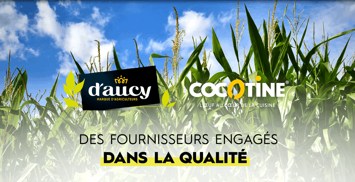 👨🍳 D’aucy foodservice est votre partenaire professionnel, responsable et engagé dans la qualité des produits sur les gammes de légumes d'aucy et les gammes à base d'oeufs Cocotine.
▶️Découvrez nos engagements de notre campagne qualité : daucyfoodservice.com/engagements-qu…