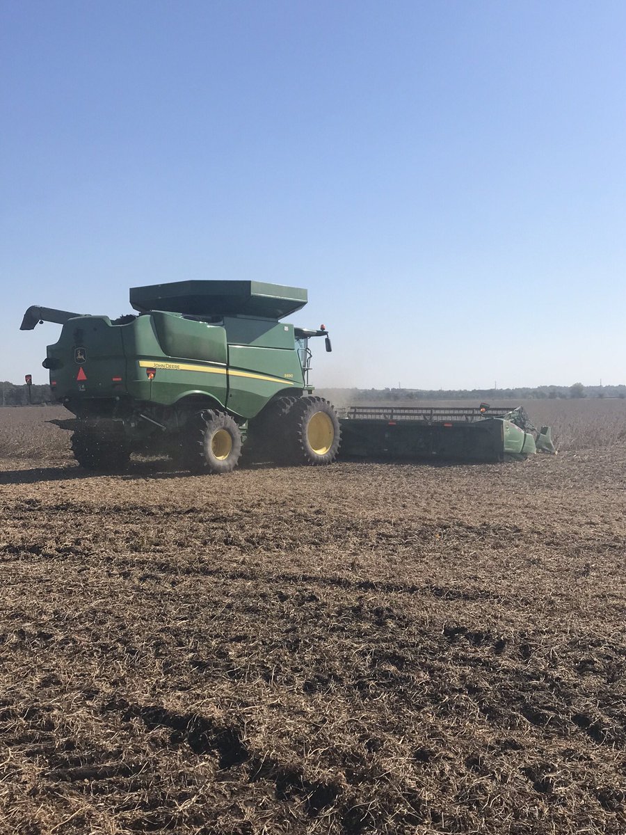 cbseeds's tweet photo. Harvest 2020. Results Channel 2119R2X soybeans Butler County, IA 75.5 bpa moisture 10.9% 73.9bpa moisture 10.8% @ChannelSeed @BayerTraits #channelyields https://t.co/nWo64fVogs