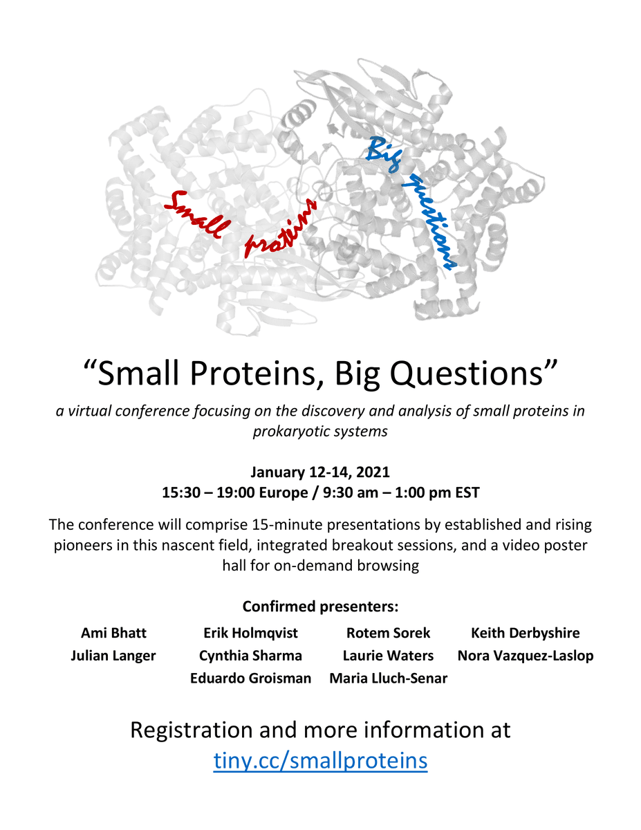storzlab's tweet photo. Check out this exciting virtual conference on "Small Protein Big Questions" ! -g

https://t.co/L4iNU6GTLf https://t.co/RPmHQLId9t