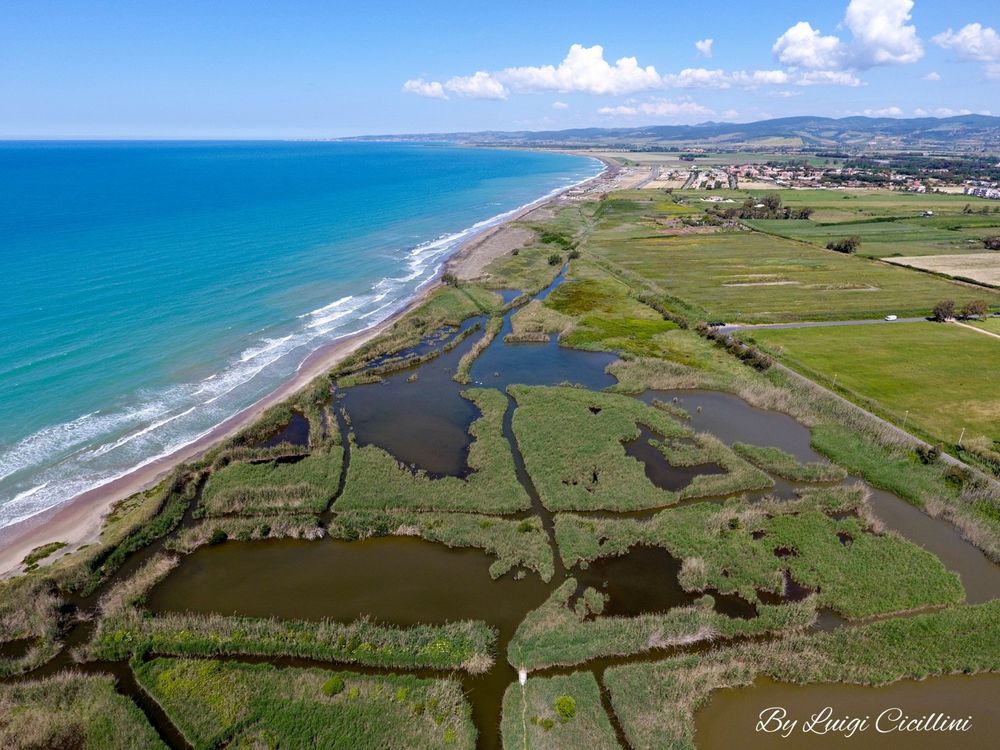labelscape's tweet photo. Palude di Torre Flavia, sixth territory involved in Labelscape, is protected wetland area that covers about 44 ha, located 40km from Rome-ITA. It is an ecosystem to be preserved cleaning from plastic, wastes and promoting pollution control &amp; soft mobility with #labelscape purpose https://t.co/Rpy0lunQft