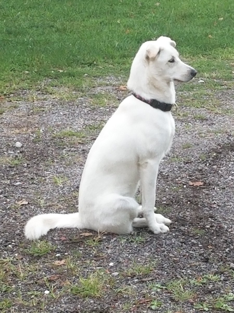 Brenda Kitchen tweet media