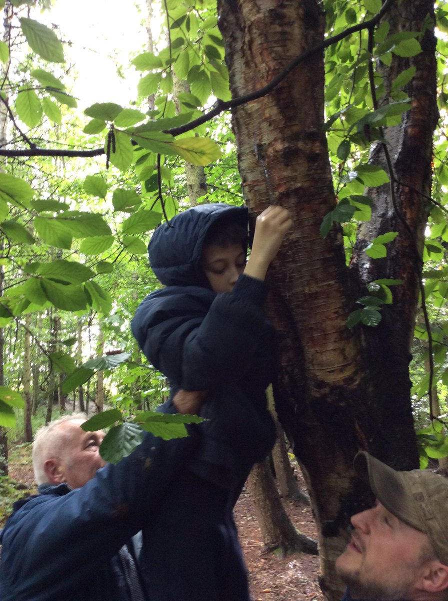 A fantastic afternoon of Forest School activities for pupils <a href="/ReachAcademyUK/">ReachAcademyUK</a> courtesy of <a href="/GreenManLearnin/">Green Man Learning</a>. Pupils and staff thoroughly enjoyed 5e session and can’t wait for more next week.