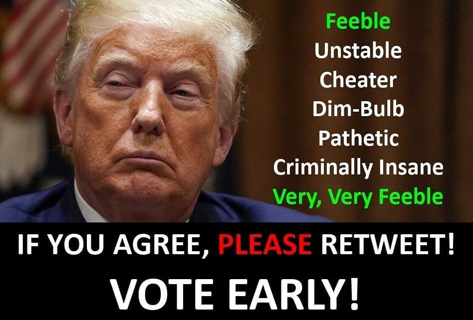 <a href="/realDonaldTrump/">Donald J. Trump</a> #VoteBlueToEndThisNightmare 
#VoteBidenHarris2020