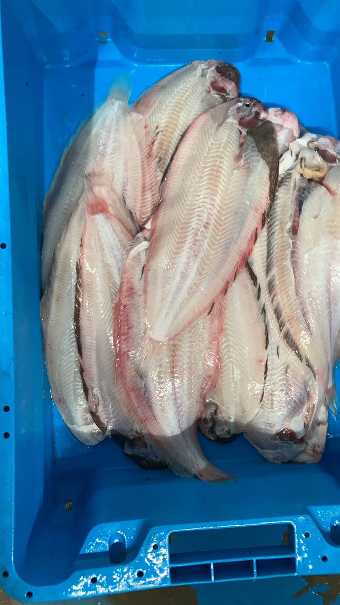 Beautiful black sole Irish seafood the best in the world 👌👌👌#irishseafood#ireland#shoplocal#homedelivery#covidsurvial#smallbuisness#keepfighting#nevergiveup💪