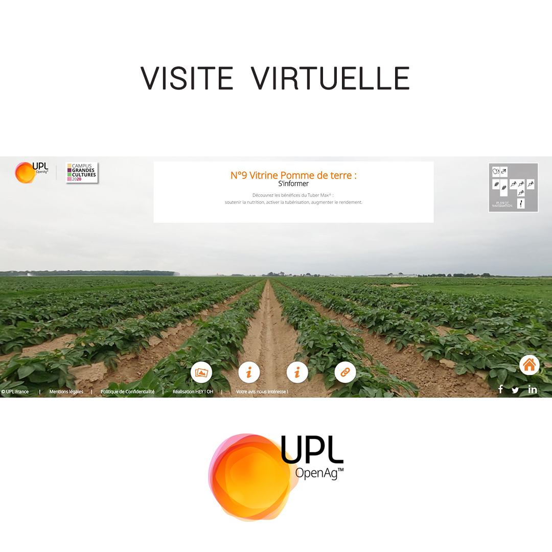 Hey ! Oh tweet media