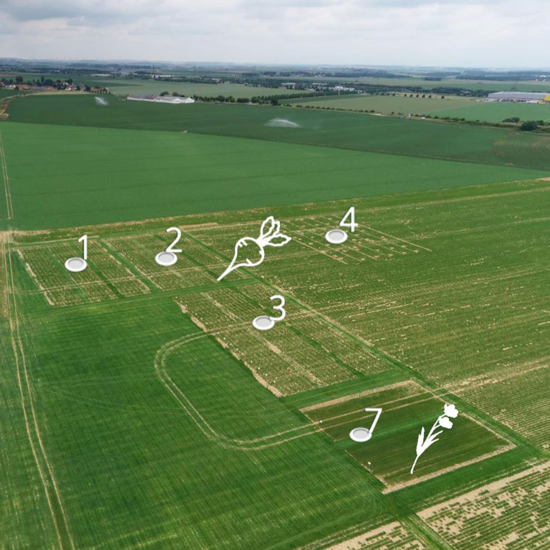 Hey ! Oh tweet media