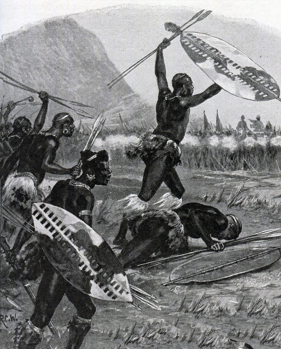 13. The raid on Mbiko’s regiment was vicious & bloody. Many of the Zwangendabas fled in order to save their families & were to never return the Ndebele state. By his heroic bravery Lobhengula established himself as king Mzilikazi's successor.