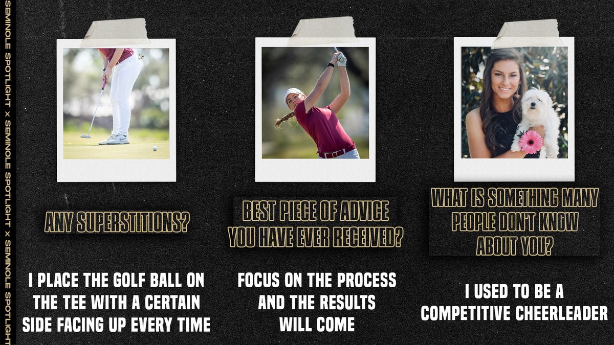 FSU Seminoles tweet media