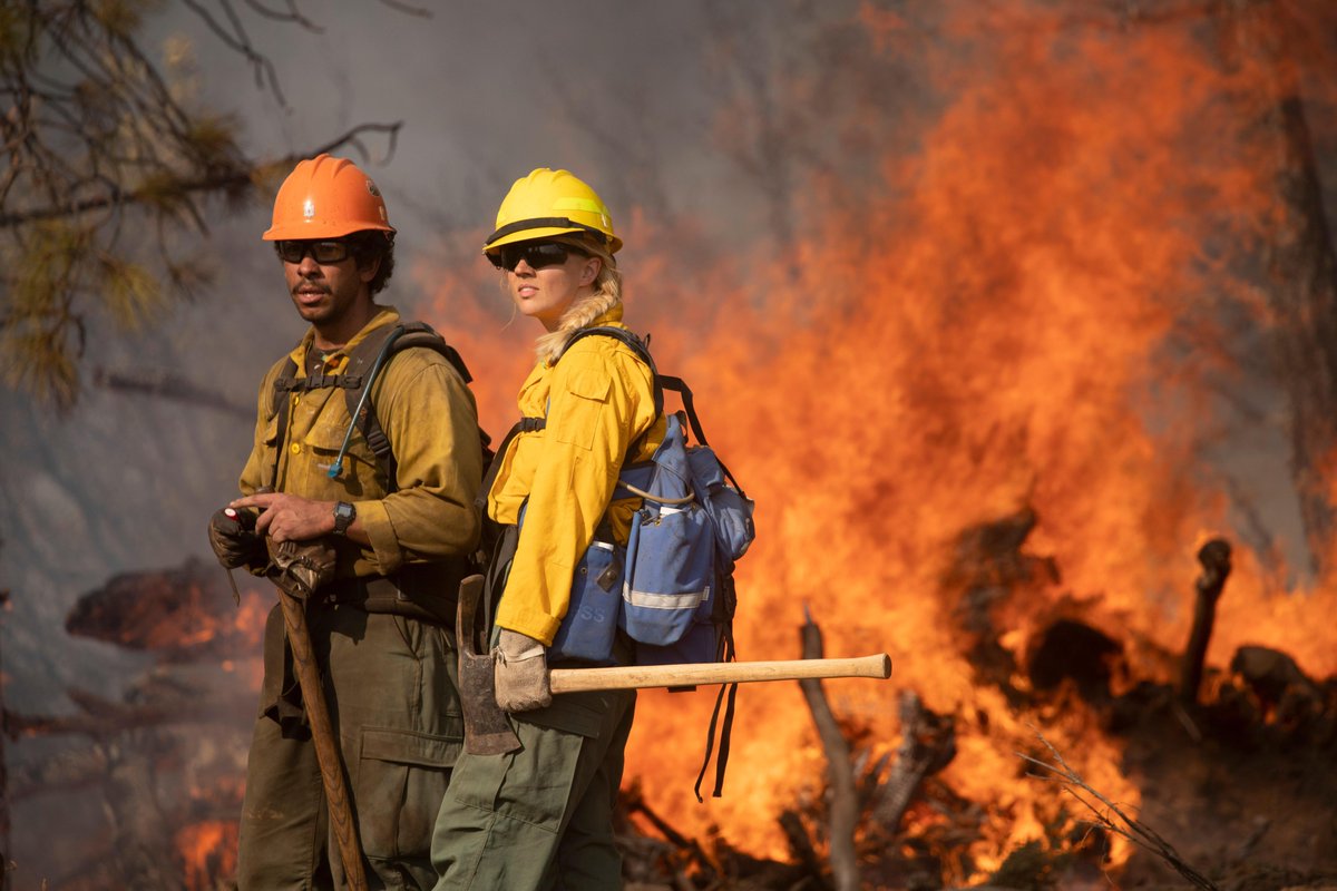 NIFC_Fire's tweet image. Local, state, federal, tribal and military firefighters continue to make progress on large wildfires in California, Oregon, Washington and other parts of the West. For fire updates, visit:   inciweb.nwcg.gov #RedSalmonComplex photos Mike McMillan, USFS #FireYear2020