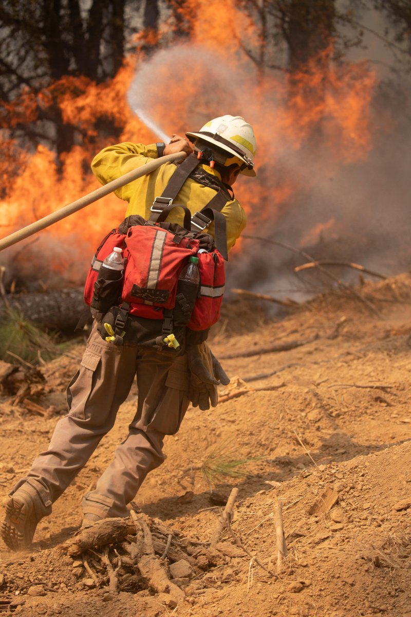 NIFC_Fire's tweet image. Local, state, federal, tribal and military firefighters continue to make progress on large wildfires in California, Oregon, Washington and other parts of the West. For fire updates, visit:   inciweb.nwcg.gov #RedSalmonComplex photos Mike McMillan, USFS #FireYear2020