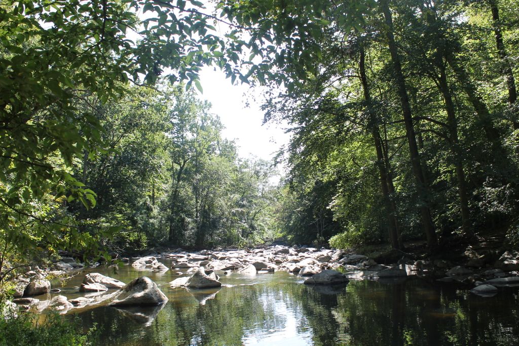 This weekend we celebrate all things Rock Creek Park with #NationalPublicLandsDay and #RockCreekParkDay, the park's 130th birthday! Join in the fun with lots of events and activities, including scavenger hunts, cleanups, and more!

Learn more: buff.ly/331zTAJ