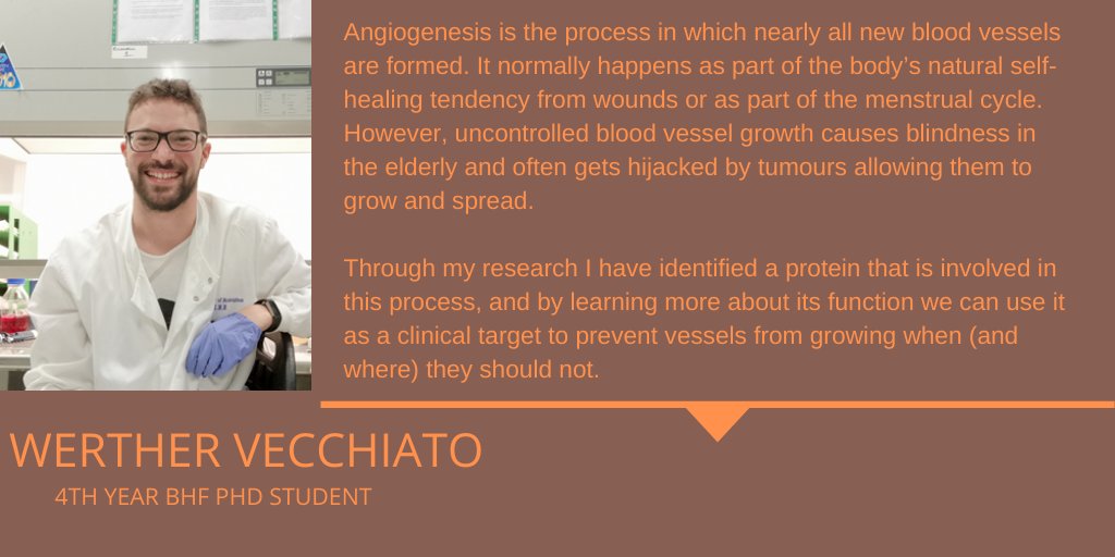 CVS_UoB's tweet image. .@wattack is a @TheBHF-funded #PhD student, who's identified a protein that is involved in #angiogenesis, and is hoping to use it as a target to prevent vessels from growing when (and where) they should not. Find out more about #ICVS #research bit.ly/3fxV8wX @unibirm_MDS