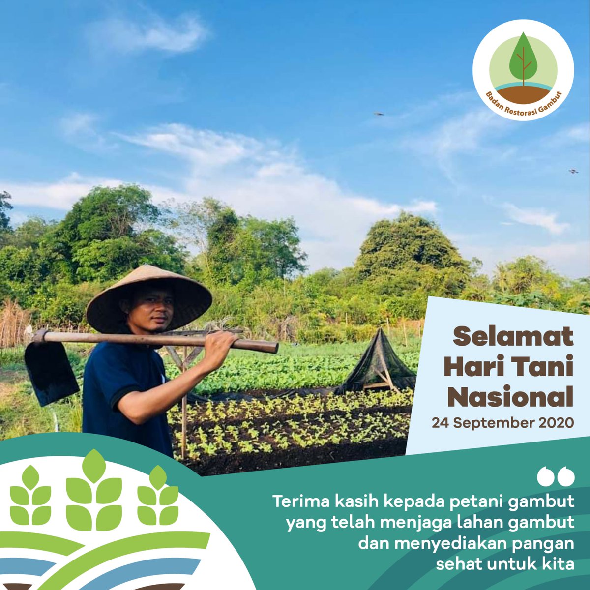 Salampeduli's tweet photo. Selamat Hari Tani Nasional
Terima kasih sudah menyediakan pangan sehat untuk kita
@BRG_Indonesia https://t.co/T00Dbv7Cqm