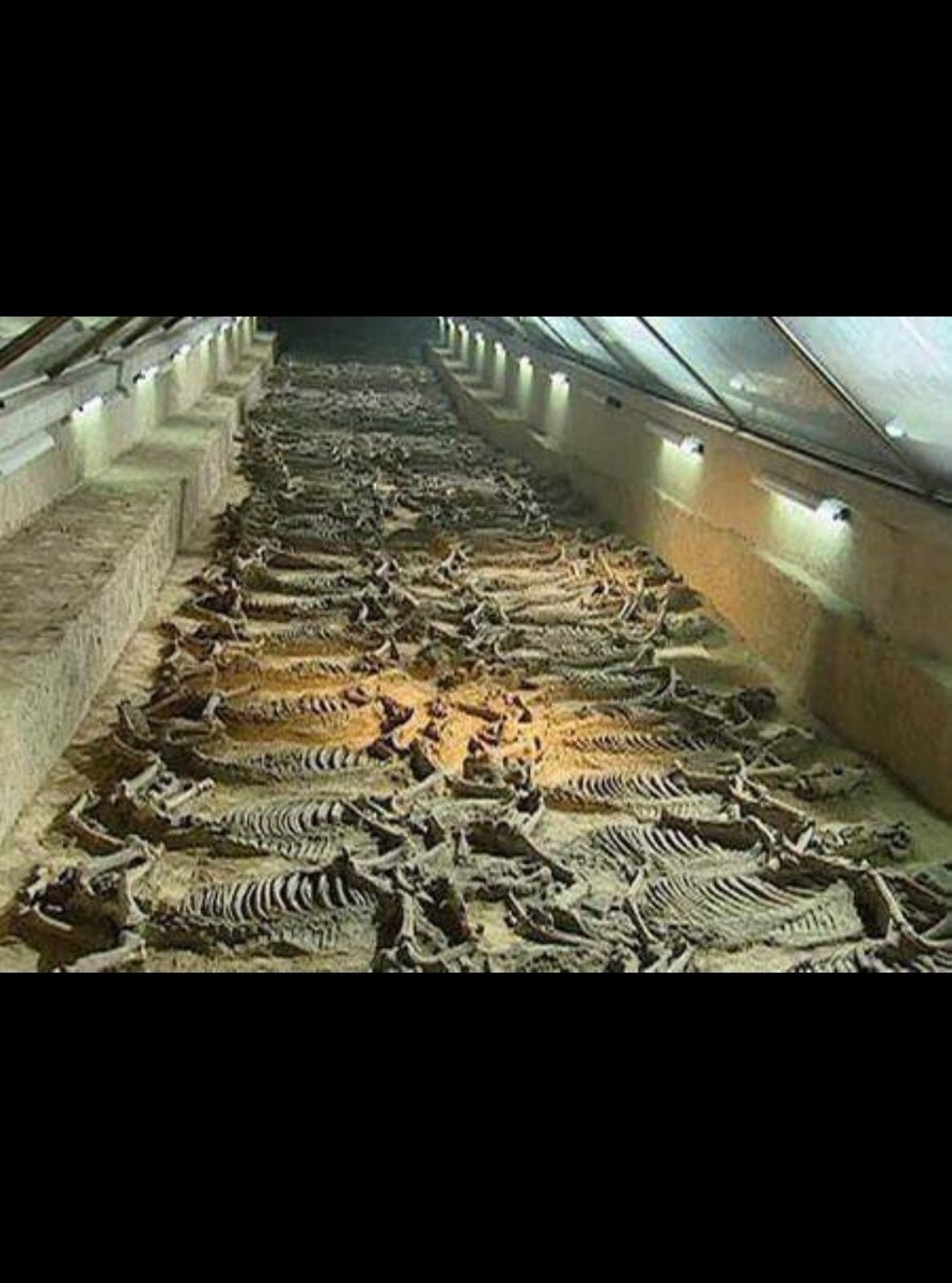 A  #thread about some scary things discovered by archeologists.1. Tomb of Thousands of Martyrs