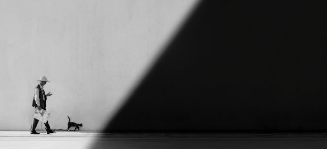 Apostrophe99's tweet photo. alizolghadri93   #blackandwhitephotography https://t.co/NifbAK40wJ