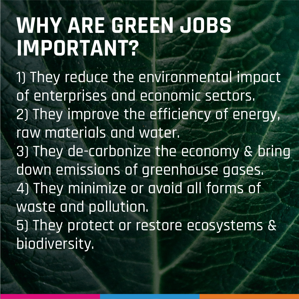 RecityIndia's tweet photo. Have you heard about the term "Green Jobs"?
This will help you understand it better!
#RecityNetwork #GreenJobs https://t.co/mswHQ56Tni