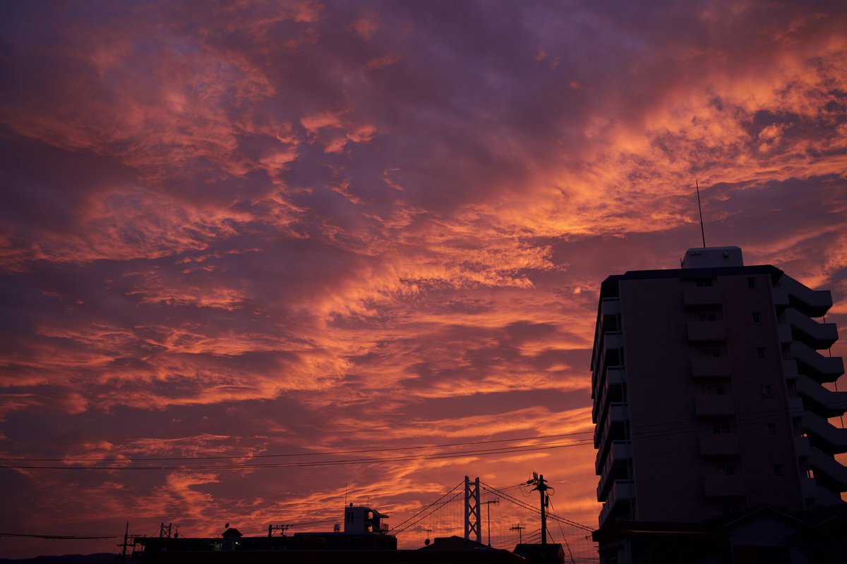 Seadra0's tweet photo. 最近の夕焼けはフィルターなしの撮って出しなのに嘘みたいな色で困る
SONY α7RIII / SEL35F18F

#sunset #magichour #eveningsky
#夕焼け #夕日 #サンセット #ファインダー越しの私の世界ᅠ  #明石海峡大橋 https://t.co/QhEizIc9Tc