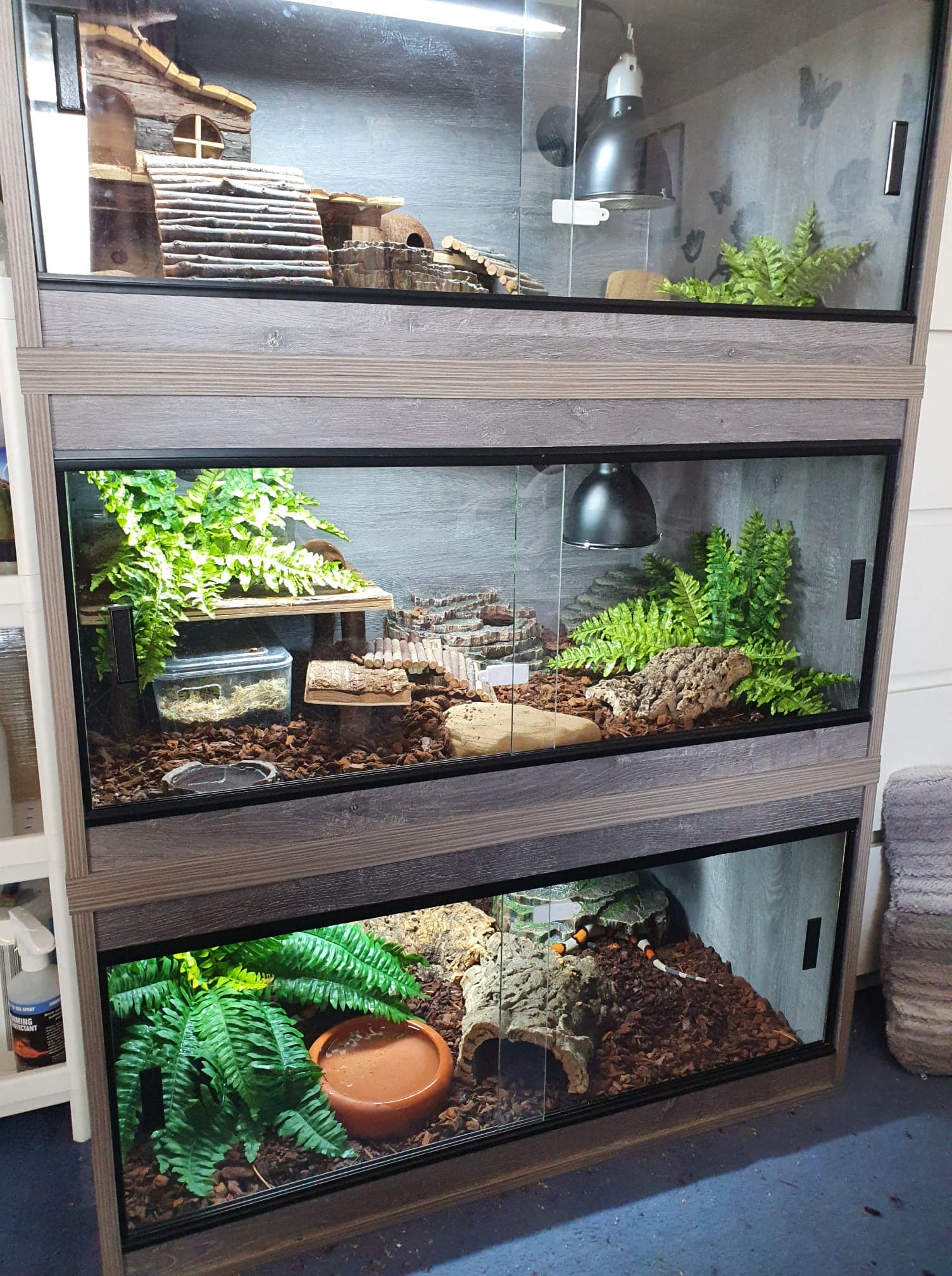 3ft reptile on sale enclosure