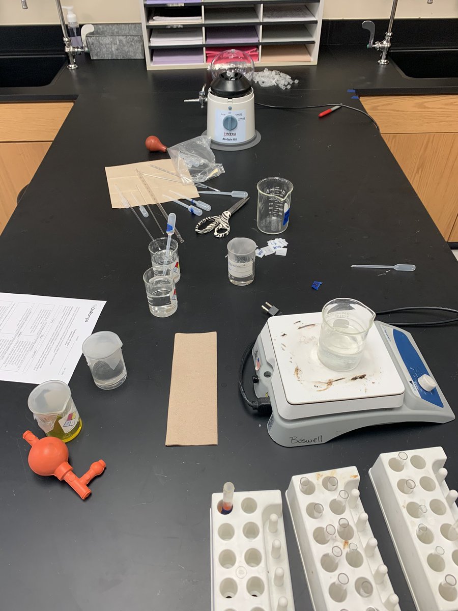 Theresa Parisi tweet media