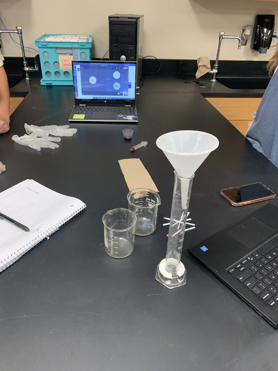 Theresa Parisi tweet media