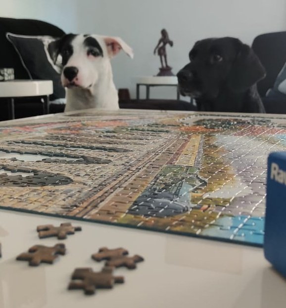 tripurasundaree's tweet image. Try keeping us from a jigsaw puzzle! @whenwherenilly