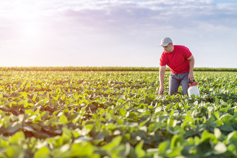 sul4rplus's tweet photo. We know 4R nutrient stewardship is important but how does it promote the achievement of social, economic, and environmental goals?

The answer to this question can be found here ⬇️
https://t.co/rTFsqY3hKI https://t.co/MyXo2Iezy6