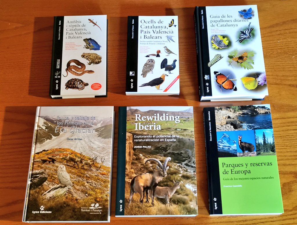 marcdelparc's tweet photo. Avui nus hem ben firat amb @lynxedicions, amb guies imprescindibles per observar la natura i llibres amb interessants reflexions, especialment el de #RewildingIberia del company de batalles i amic #JordiPalau https://t.co/KrINbDvYMH https://t.co/CtvchoHKbq
