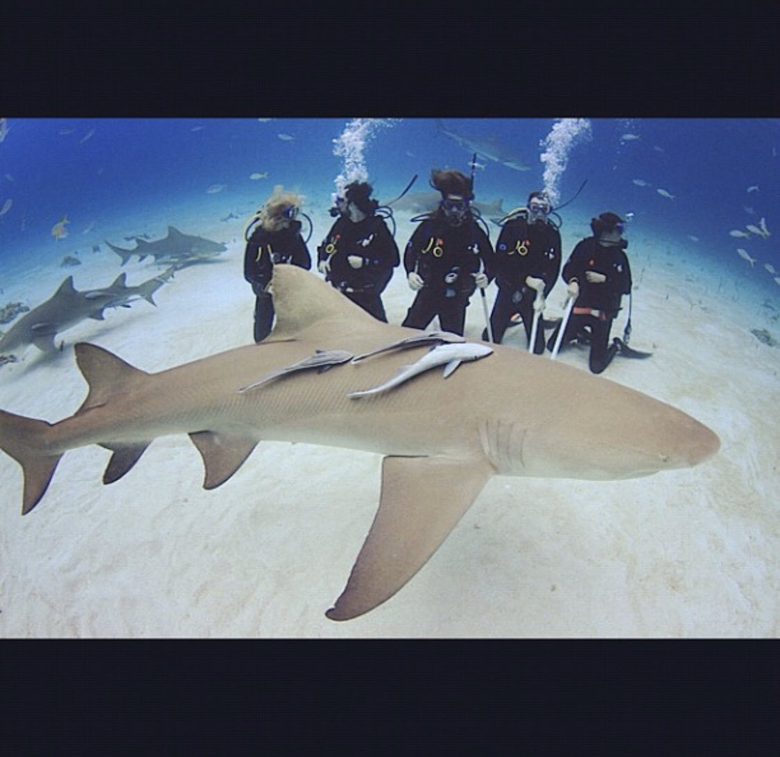 #tbt to that one time Simon had an idea for the “We Come Running” video...... 😳😳😳!  

#youngbloodhawke
#ybh
#wecomerunning
#newmusic
#newmusicfriday
#indie
#indiemusic
#indierock
#altrock
#alternative