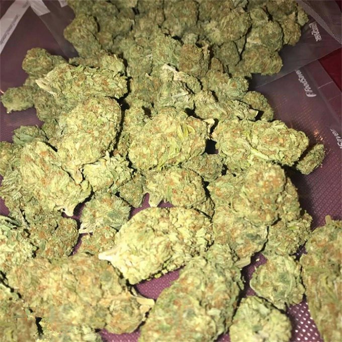 VladimirWeed's tweet photo. Livraison rapide et discret 35min maxi
À partir de 100balles
Télégram : @vladimirweed20
Snap: Vladimirweed20

#rastabot #RastafariJAMS #rasta #niska #toulouse #Paris15 #paris #Nantes #Bordeaux #Marseille #fumeur #StonerFam #FranceVerte #Nice06 #illegal #beuh #ViolencesPoliciere https://t.co/BE8egkjTmP