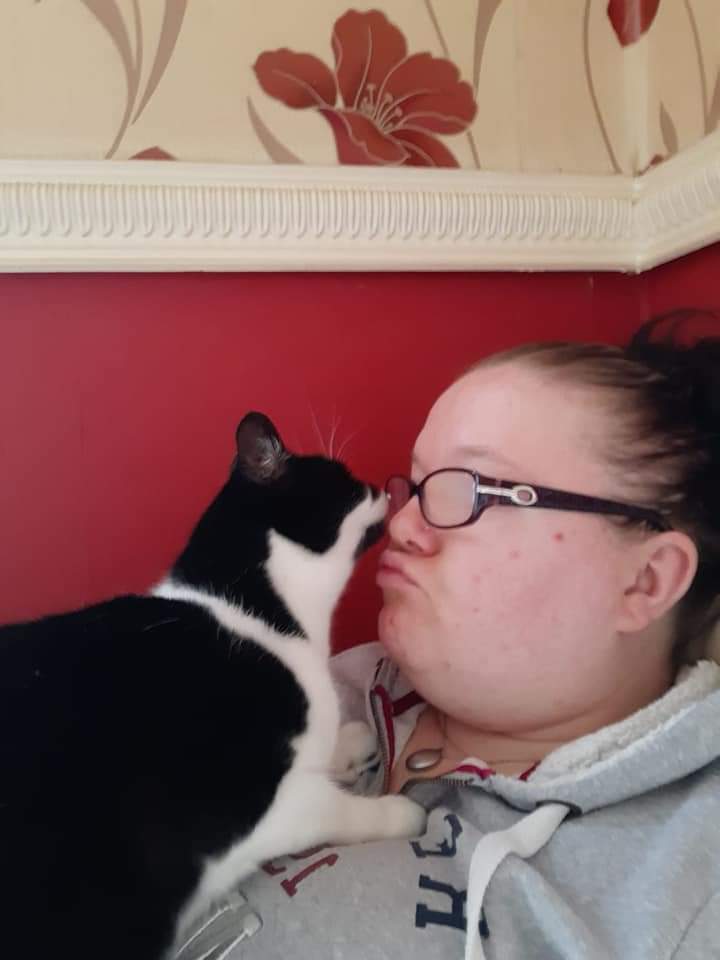AlanDaffern's tweet photo. ***£300 #Reward*** is been offered for the safe return of Poppy #Missing #Pant #MerthyrTydfil #SouthWales #CF48 no questions asked. Her owner says she just wants her home and everyday she is missing is breaking her heart more and more 

https://t.co/Pzttds4hHu

#missingcatwales https://t.co/zRrj8Uxevq