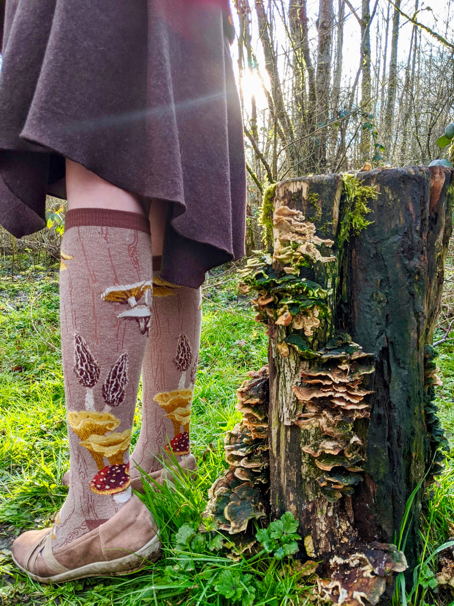 ModSock's tweet photo. Mushroom socks are a great way to greet the changing seasons! #ModSocks #HappyFall https://t.co/06Ib7pxzBf