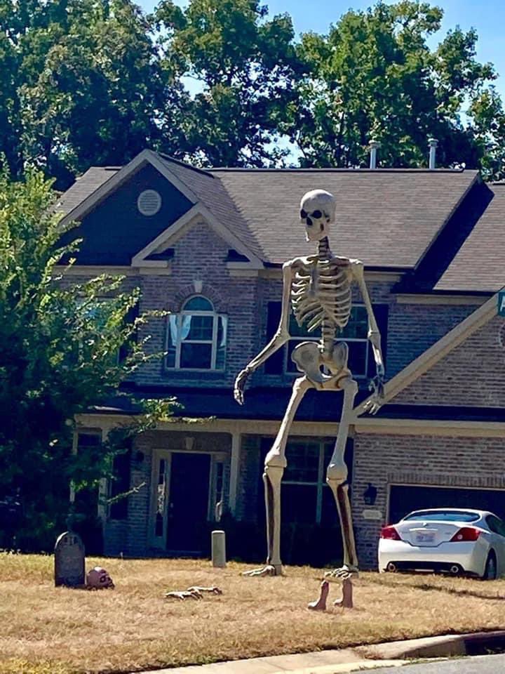rawrritskatie's tweet image. ☀️💋 good morning little goobers 💋☀️
FYI if y’all see this in my front yard soon, ride on by &amp;amp; mind ya business. 😂 I wanna do a #SkeletonHunt for Halloween like we did with the #BearHunt at the beginning of Covid 😩💀