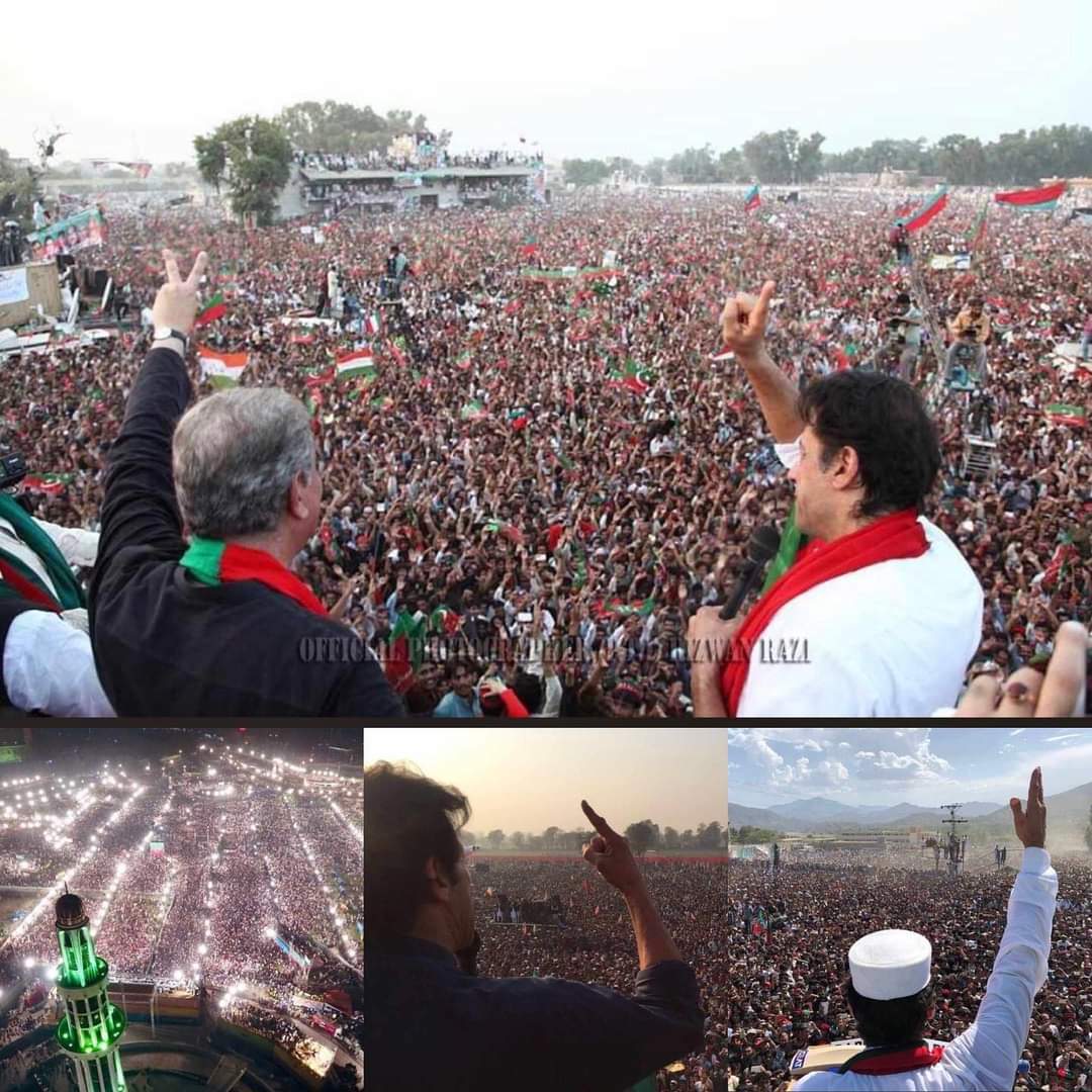 iImranSaroya's tweet photo. Selectors Of Imran Khan 👍🏻👍🏻😎
#IamSoldierOfPMIK https://t.co/IVC2F51ZAq