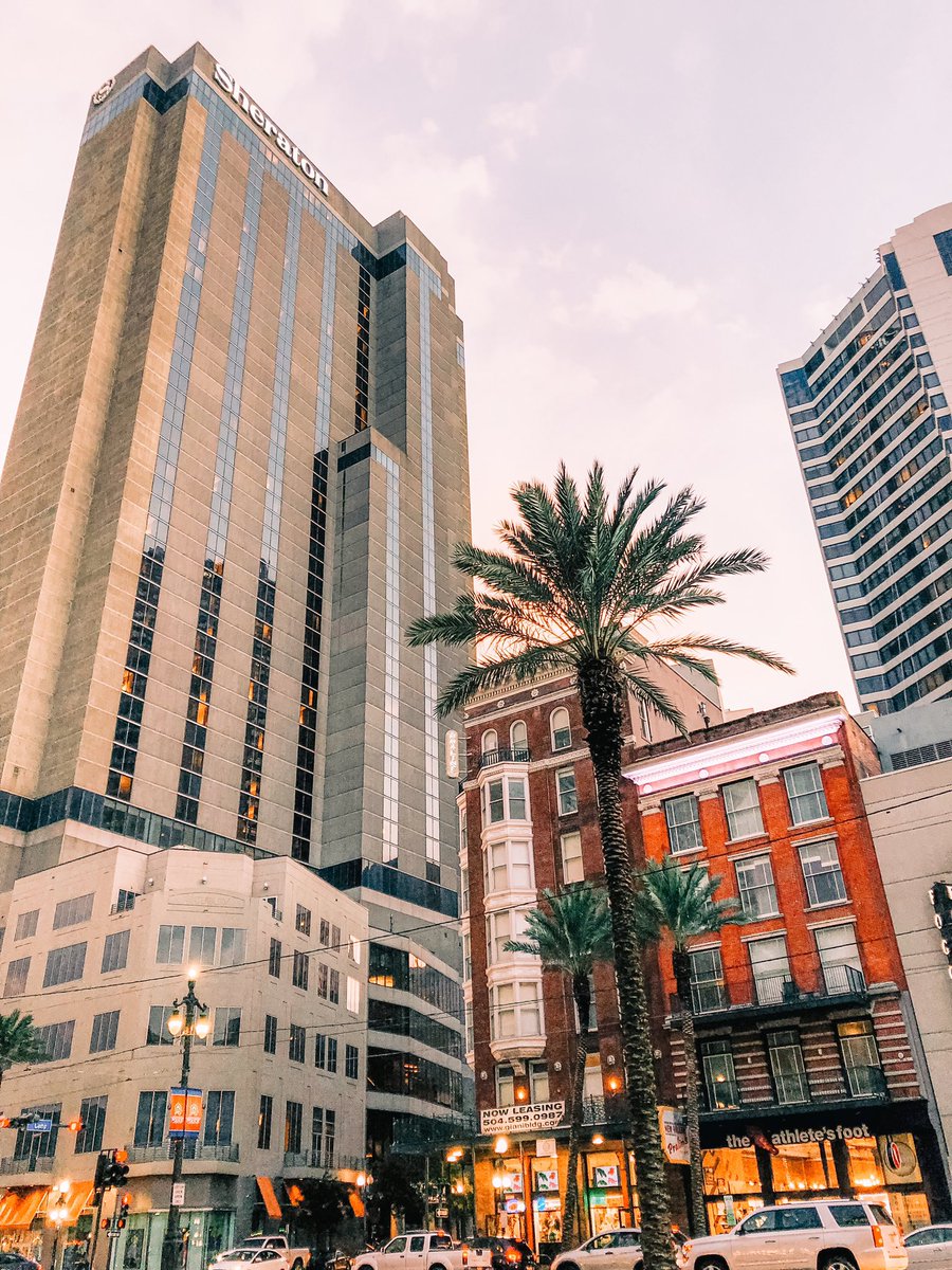 thenoladiaries's tweet photo. 📍 Canal St. New Orleans, LA https://t.co/Ccyook0n2x