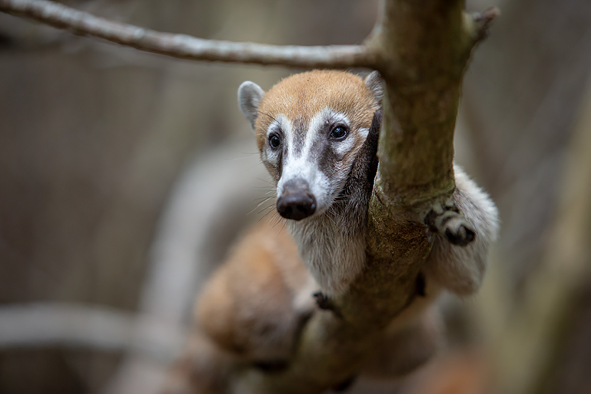 Découvrez les 36 films professionnels du FINN 2020.
=> bit.ly/3cpSJo4