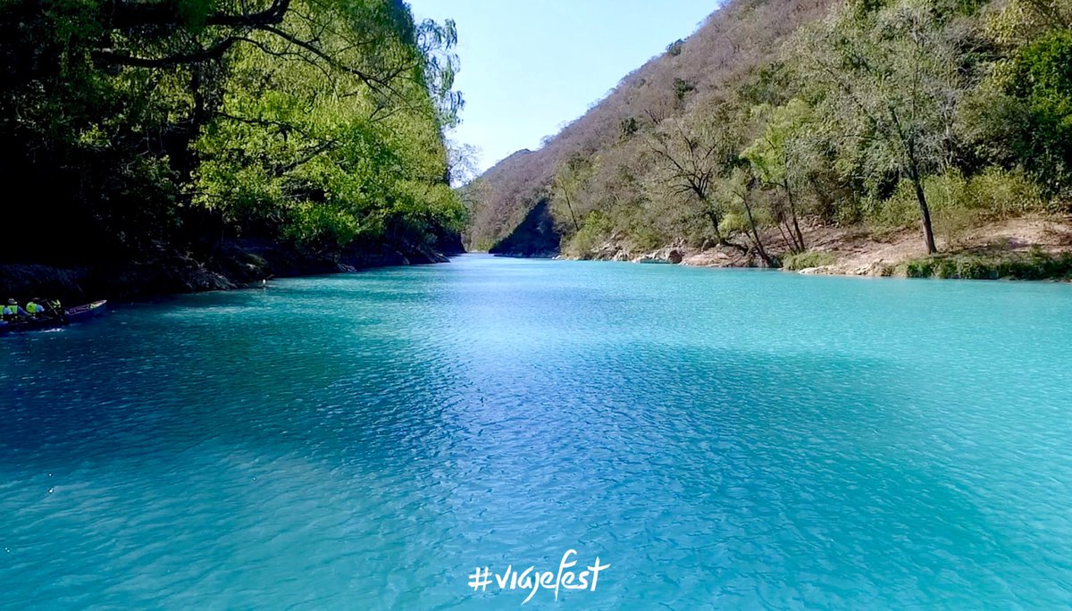 viajefest's tweet photo. 🌿#HUASTECAPOTOSINA🌿

💦Cascada #Tamul💦 ya está abierta al público de 10am a 3pm. #viajefest 

⚠️Para visitarlas te recomendamos hacer reservación al 482-361-6010. 

💰Costo $200 por persona, máximo 10 personas por panga. Lleva efectivo.

https://t.co/ilpE7WXLxH https://t.co/MmEKUN4mPy