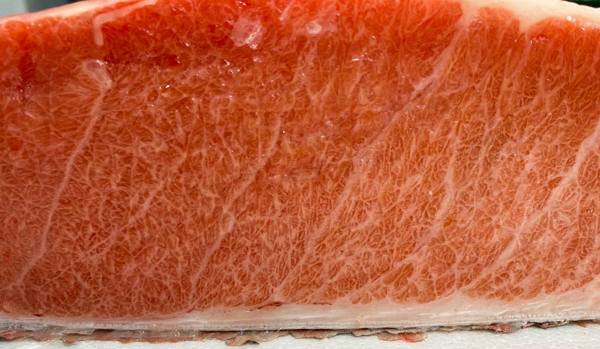 Nuestro Chef ya está trabajando  con un producto increíble como esta ventresca para los platos especiales de las veladas de "Atún Rojo y Champagne". 

Serán las noches del viernes 25 y sábado 26 en La Cava de Royán. 

No te las puedes perder.