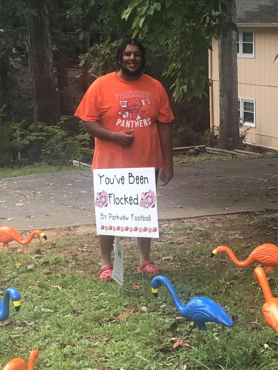 FlockersPhs's tweet photo. What the flock?? 🦩🦩🦩These birds been busy 😅 @ParkviewFB #whosnext https://t.co/0LXkq2jPle